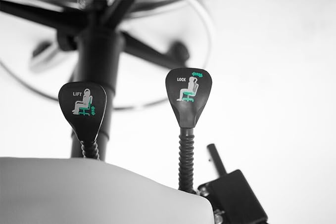 SKINACT Comfortable Esthetician Chair (Black)