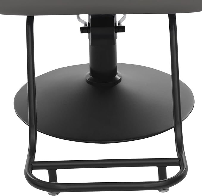 Barber Salon Chair for Hair Stylist,Hair Chair for Barbershop Home Height Adjustable & 360° Swivel Styling Salon Chairs Spa Beauty Salon Equipment, 550Lbs Capacity (Grey)