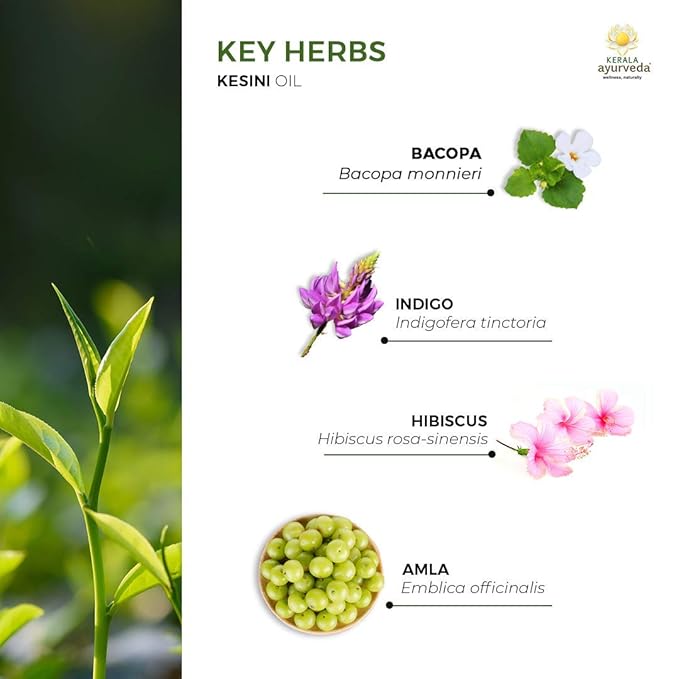 Kerala Ayurveda Kesini Hair Oil (3.38 fl oz) | Herbal Blend with Bacopa, Hibiscus, Amla, Indigo, Castor & Coconut Oil | Deeply Nourishes Dry Scalp & Strengthens Hair | Paraben-Free, Mineral Oil-Free