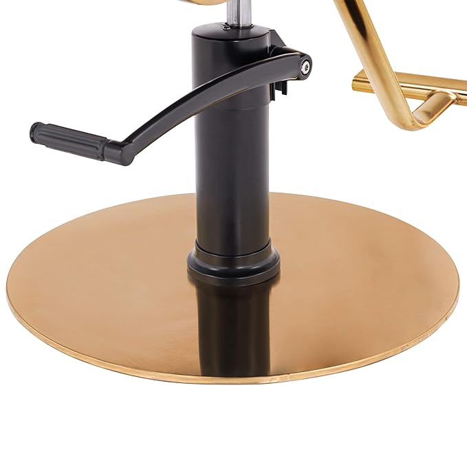 BarberPub Salon Chair Hydraulic Barber Chair Curved Wood Frame Hair Cutting Beauty Spa Salon Styling Equipment 3071 (Brown)