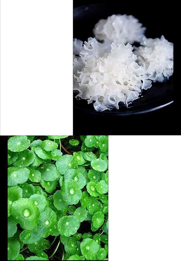 Air Cushion CC Cream Foundation,BB Cream Makeup,Moisturizing Concealer Long Lasting Full Coverage Waterproof Foundation (Natural)