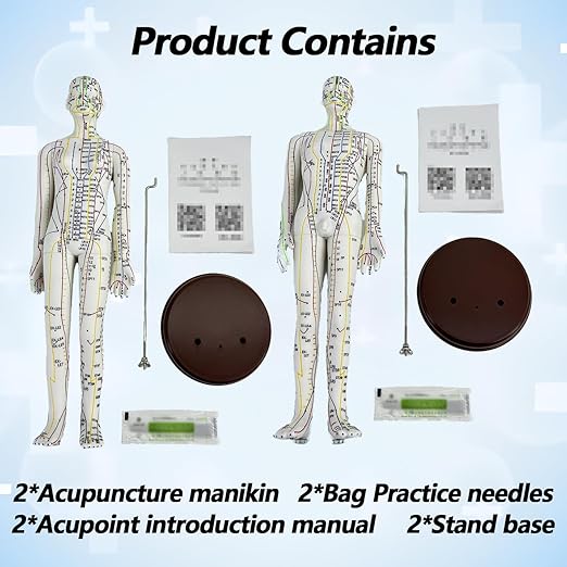 2 Piece Acupuncture Doll, 1/3 Life Size Male and Female Human Model with English Acupuncture Point Marks for Learning and Exercises