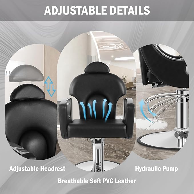 Salon Chair for Hair Stylist, Reclining Barber Salon Chair with Heavy Duty Hydraulic Pump, 360 Swivel Styling Braiding Hairdresser Chairs for Home Barbershop, Black Sliver