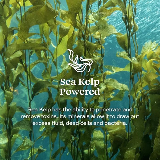 Aleavia Unscented Prebiotic Body Lotion – Fragrance-Free, All-Natural Moisturizing Body Lotion – Sulfate-Free Lotion for Sensitive Skin – 12 Oz