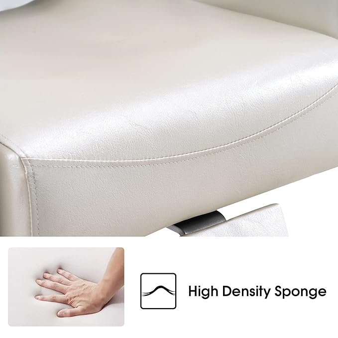 BarberPub Barber Chair Reclining Salon Chair for Hair Stylist, Antique Hair Spa Salon Styling Beauty Equipment 8132(Champagne)