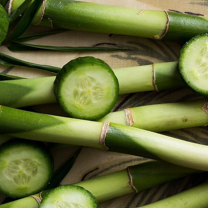 KORRES Renewing Body Cleanser, Cucumber Bamboo, Foaming Shower Gel for Women & Men with Hydrating Greek Botanicals, Body Wash for Smooth Skin, Vegetarian & Cruelty Free, Made in Greece, 8.45 Fl Oz