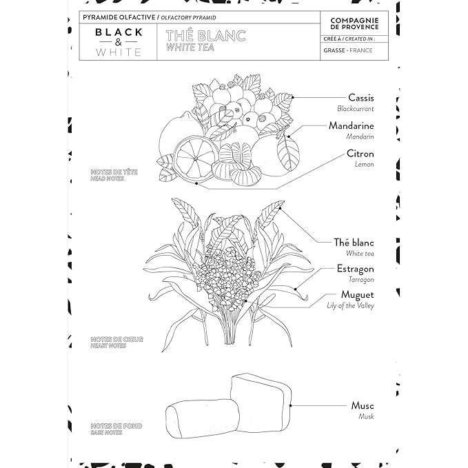Compagnie de Provence Savon de Marseille Extra Pure Liquid Soap - White Tea - 16.7 Fl Oz Glass Pump Bottle and 33.8 fl oz Plastic Bottle Refill