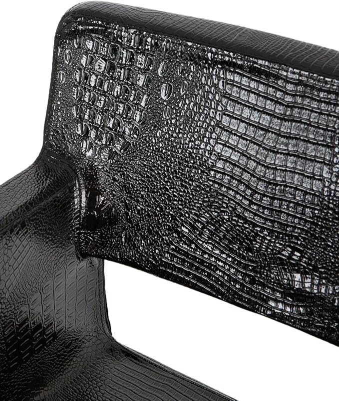 Buy-Rite Rosa Styling Chair for Salons & Barbershops - Crocodile Black, 23" Heavy-Duty Chrome Base, Wide Seat, Hydraulic Pump, No-Crevice Design, Armrests - YLG-308-CROC