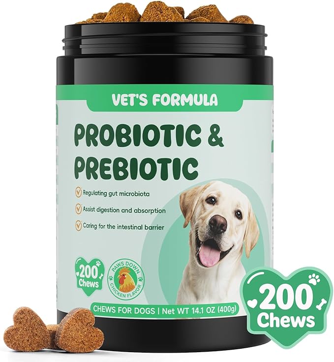 200 PCS Probiotics for Dogs - Digestive Enzymes & Prebiotics for Gut Health, Probiotic Dog Chews Diarrhea Relief & Gas Treatment, Pumpkin Formula for Sensitive Stomachs & Itchy Skin Support
