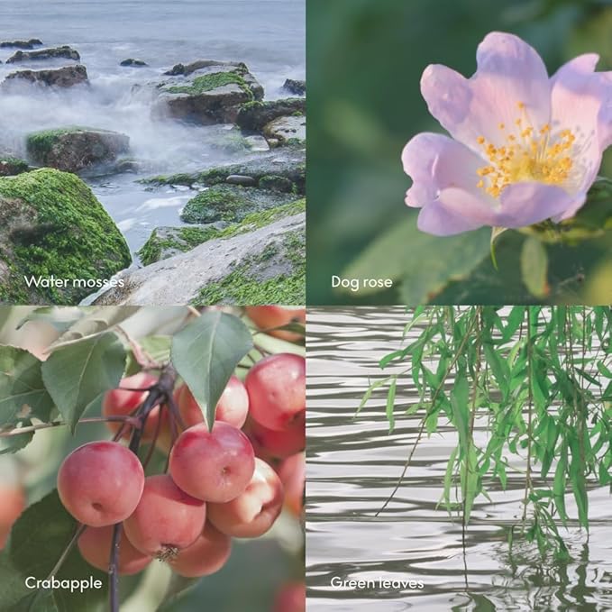 Skandinavisk ØY ‘Island' Hand & Body Wash, Scent notes: Crabapple and dog rose, water mosses and green leaves, 16.91 fl. oz.