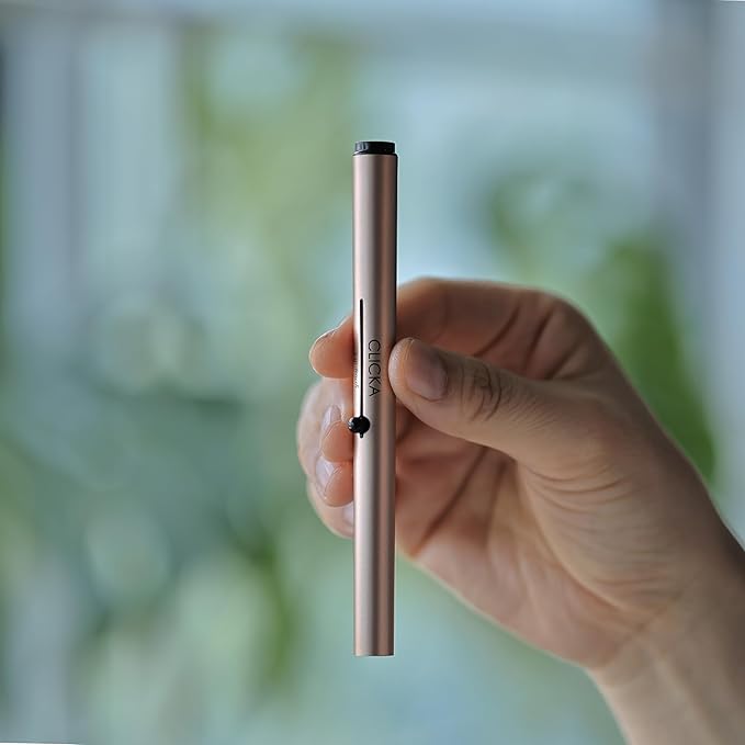 Retractable Automatic Lid Professional Lip Brush 1pc (Champagne Gold)