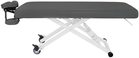 SKINACT Stella Electric Medical Spa Treatment Table (Facial Chair/Bed) ADA Compliant (Gray)