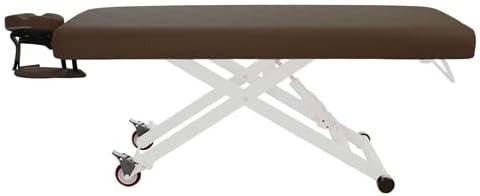 SKINACT Stella Electric Medical Spa Treatment Table (Facial Chair/Bed) ADA Compliant (Brown)