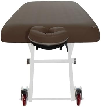 SKINACT Stella Electric Medical Spa Treatment Table (Facial Chair/Bed) ADA Compliant (Brown)