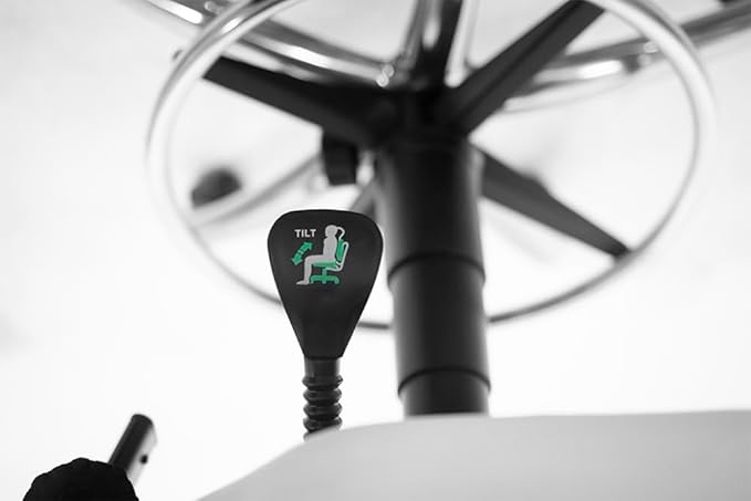 SKINACT Comfortable Esthetician Chair (Black)