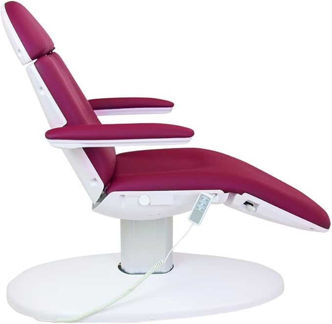 SKINACT Venus Wine Electric Medical Spa Treatment Table/Chair with Free Hand Remote Control