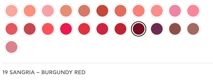 Radiant Professional Advanced Care Lipstick - Ultra Nourishing, Moisturizing Long Lasting Matte Lipstick With Vitamin E- UVA UVB Filters - VELVET (19 SANGRIA – BURGUNDY RED)