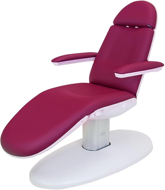 SKINACT Venus Wine Electric Medical Spa Treatment Table/Chair with Free Hand Remote Control