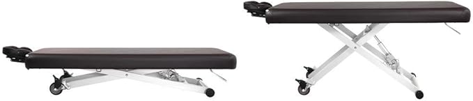 SKINACT Stella Electric Medical Spa Treatment Table (Facial Chair/Bed) ADA Compliant (Brown)