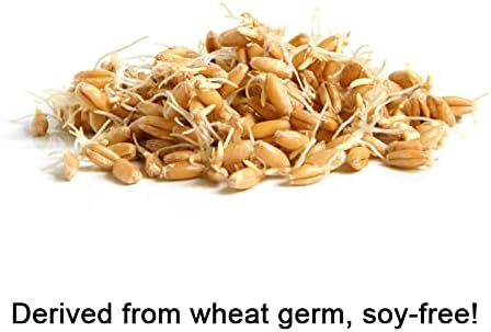 cocojojo Organic Liquid Vitamin E Oil for Skin, Hair, Face, Body Oil, 100% Pure Natural Cold Pressed Unrefined, Moisturizes & Nourishes, Non GMO - 2 Oz