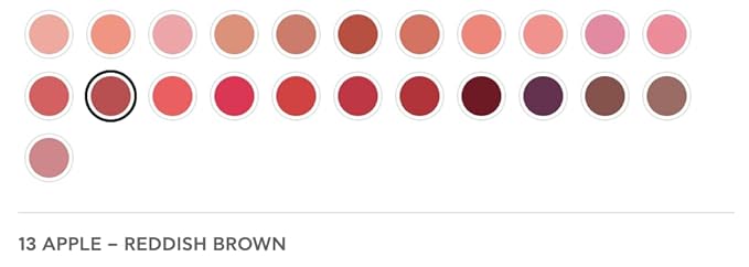 Radiant Professional Advanced Care Lipstick - Ultra Nourishing, Moisturizing Long Lasting Matte Lipstick With Vitamin E- UVA UVB Filters - VELVET (13 APPLE – REDDISH BROWN)