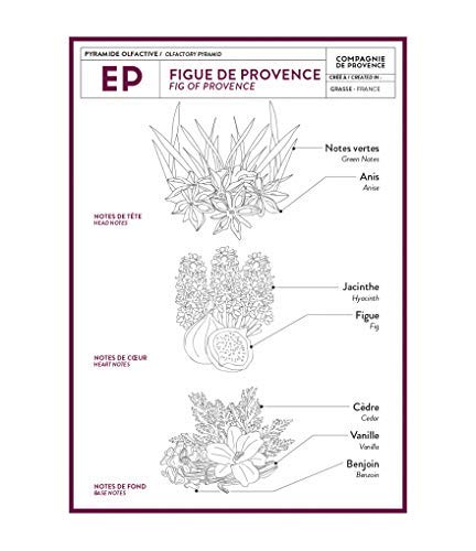 Compagnie de Provence Savon de Marseille Extra Pure Liquid Soap - Fig of Provence - 10 Fl Oz Plastic Pump Bottle