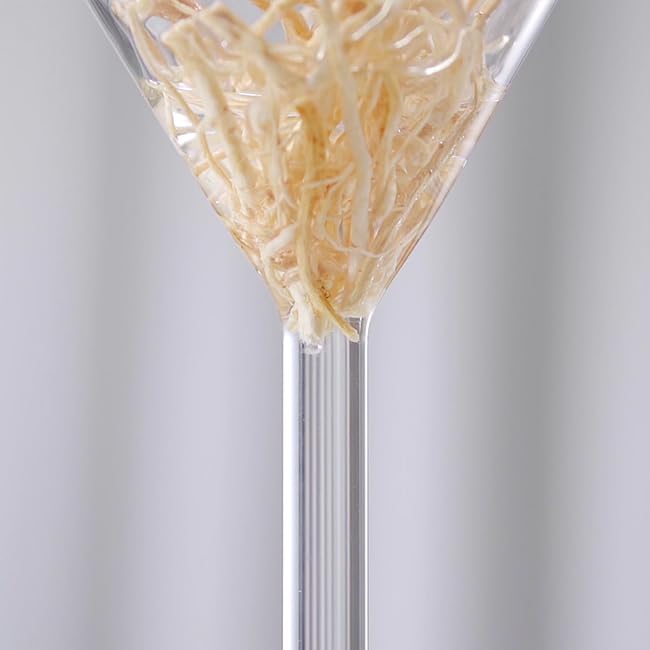 Pyunkang Yul Balancing Gel - Daily Face Moisturizer for Women - Facial Skin Care Products for Dry and Combination Skin - Highly enriched Texture Preventing Moisture and Nutrition loss - 3.3 Fl. Oz.…