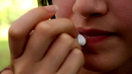 Unscented Lip Balm, Herbal Lip Balm,