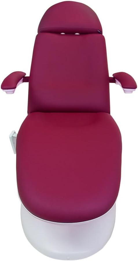 SKINACT Venus Wine Electric Medical Spa Treatment Table/Chair with Free Hand Remote Control