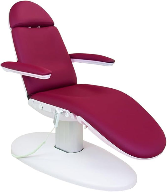 SKINACT Venus Wine Electric Medical Spa Treatment Table/Chair with Free Hand Remote Control