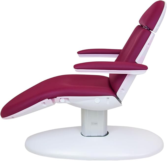 SKINACT Venus Wine Electric Medical Spa Treatment Table/Chair with Free Hand Remote Control