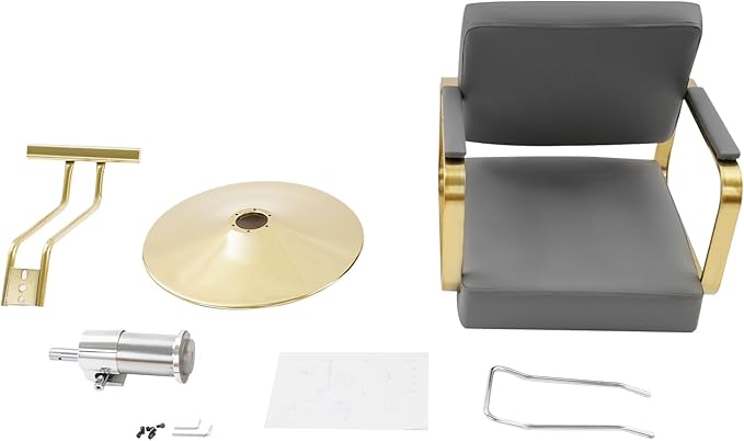 Artist Hand Salon Chair for Hair Stylist, 360° Swivel Hydraulic Barber Chair Barber Styling Chair Tattoo Chair Salon & Spa Chairs for Hair Stylist Women Man, Max Load Weight 440 Lbs (Grey+Gold)