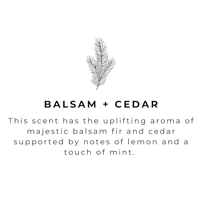 River Birch Balsam & Cedar Scented Natural Hand Soap -Handmade -Moisturizing Hand Wash with Amber Glass Dispenser - Luxury Scented Hydrating Hand Soap - Vegan and Non-Toxic -16 Fl Oz