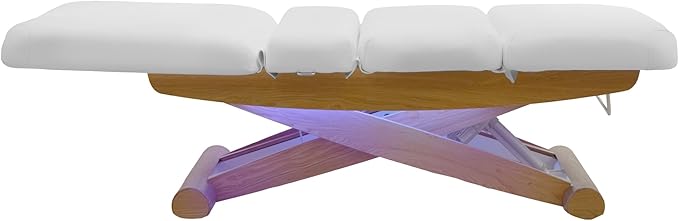 SKINACT Sage Electric Spa Treatment Table Massage, Facial Bed (White)