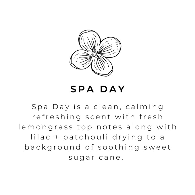 River Birch Spa Day Scented Natural Hand Soap - Handmade Soap - Moisturizing Hand Wash with Amber Glass Dispenser - Luxury Scented Hydrating Hand Soap - Vegan and Non-Toxic - 16 Fl Oz