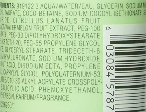 Garnier SkinActive Green Labs Hyalu-Melon Smoothing Milky Washable Cleanser with Hyaluronic Acid + Watermelon for Dehydrated Skin, Fine Lines, (Packaging May Vary), 4.4 FL Oz