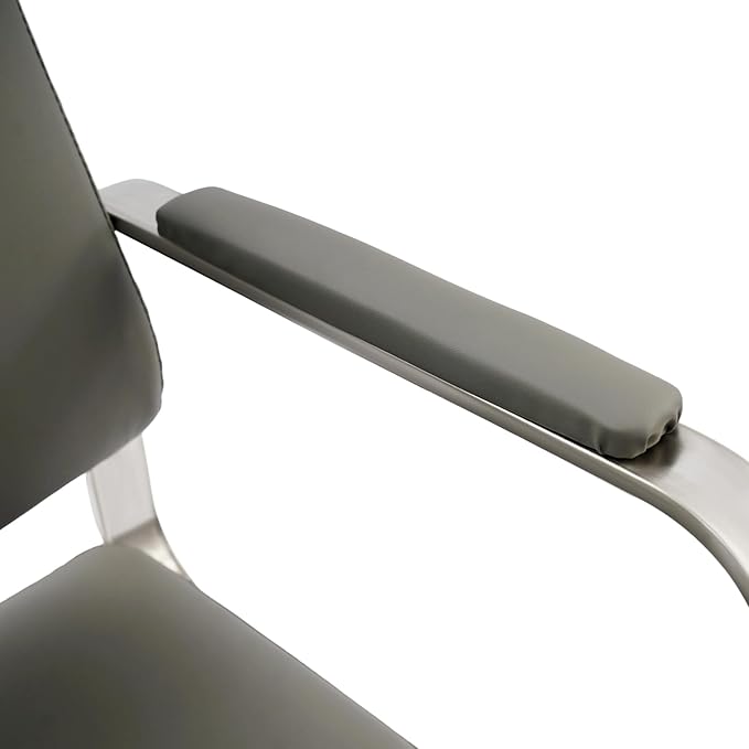 YIYIBYUS Salon Chair for Hair Stylist, 360° Swivel Barber Chair with Heavy Duty Hydraulic Pump, Spa Beauty Equipment for Hair Stylist Women Man, Max Load Weight 440 Lbs, Grey + Silver