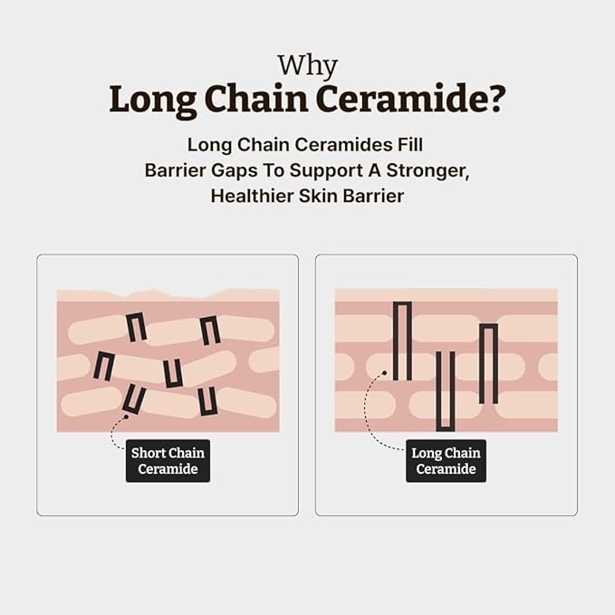 Dr. Reju-All Advanced LC-Ceramide Barrier Cream - Patented Long Chain Ceramide Deep Hydration - Lightweight Korean Face Moisturizer for Strengthening Skin Barrier - 1.69 Fl Oz