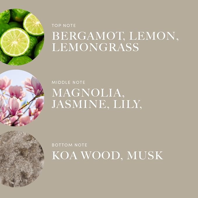 Aroma360 | 24K Magic Pro-Pod Oil Blend | Luxury Hotel Inspired Diffuser Oil | Aromatherapy Scent Diffuser Oil | Citrus Bergamot, Lemongrass and Jasmine 1.7 fl oz, 50 mL