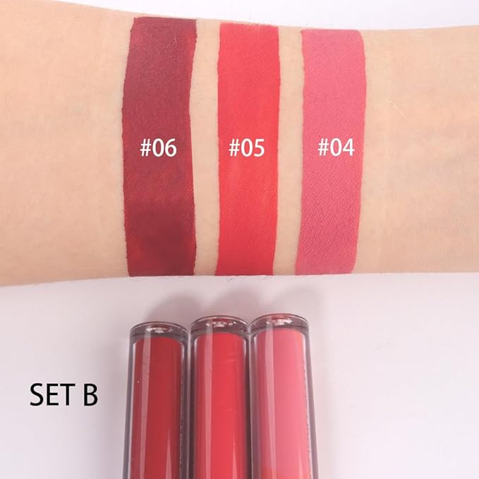 AMY'S DIARY Matte Plum Liquid Lipstick 3Pcs Sets,24-hour Lipstick Dark Deep Maroon Purple Brown Plum Red Lip Stain 24 Smudge Waterproof for Women (B#)