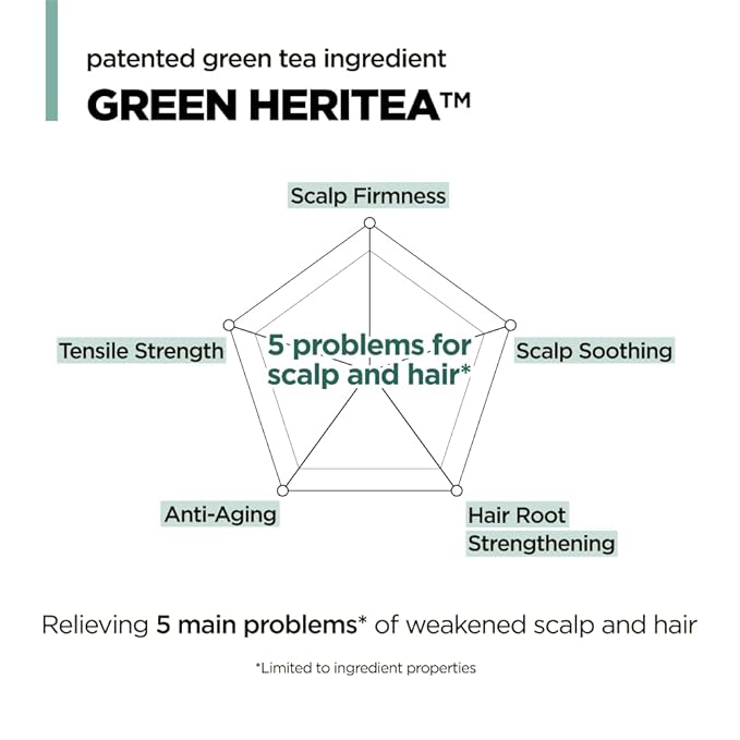 AMOS PROFESSIONAL The Green Tea Shampoo Refresh for Thinning Hair, Korean Shampoo for Oily Scalp l Deep Cleans, Strengthening Hair, All Hair Types, 16.9 fl.oz