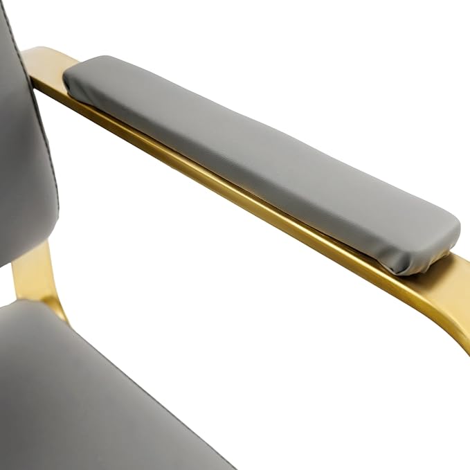 Artist Hand Salon Chair for Hair Stylist, 360° Swivel Hydraulic Barber Chair Barber Styling Chair Tattoo Chair Salon & Spa Chairs for Hair Stylist Women Man, Max Load Weight 440 Lbs (Grey+Gold)