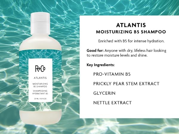 R+Co Atlantis Moisturizing B5 Shampoo & Conditioner Set + Deluxe Sample (0.5oz) | Deep Hydration & Repair for Dry Hair | Vegan + Cruelty-Free | 8.5oz (Pack of 2)