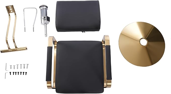 Barber Chair Salon Chair for Hair Stylist Hair Chair for Barbershop Home Height Adjustable & 360° Swivel Styling Salon Chairs Spa Beauty Salon Equipment, Max Load Weight 440Lbs