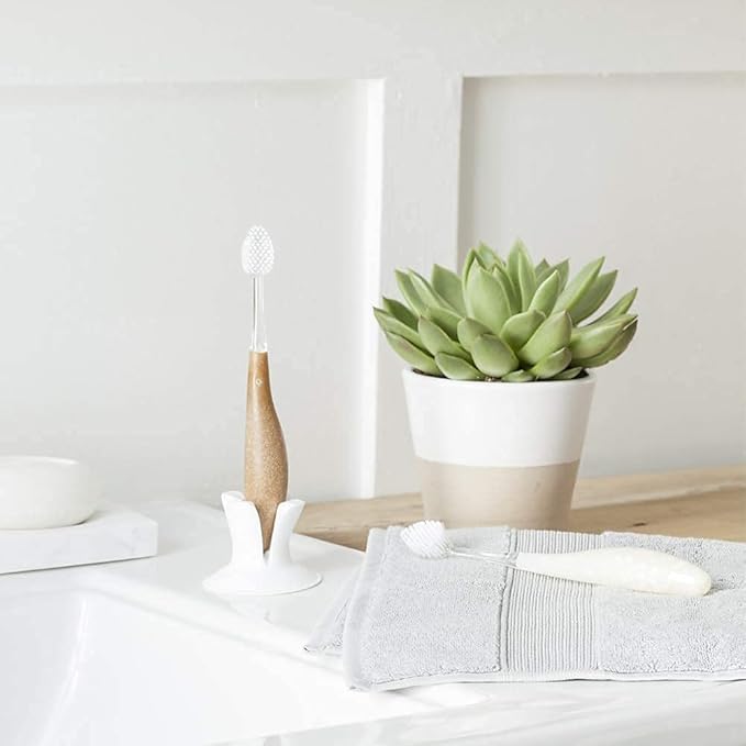 RADIUS Toothbrush Source Floss Brush BPA Free & ADA Accepted Improve Gum Health & Reduce Gum Issues - Medium - Money - Pack of 1