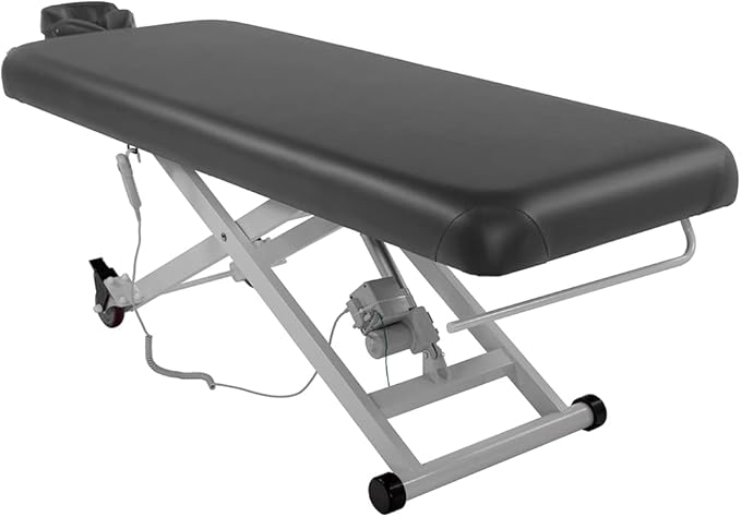 SKINACT Stella Electric Medical Spa Treatment Table (Facial Chair/Bed) ADA Compliant (Gray)
