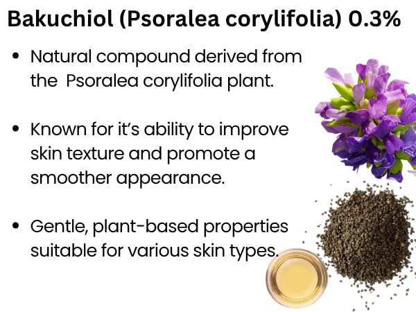 Retinol Moisturizer Cream 50 ml - Pack of 1 - Face, Eye, Forehead, Crow's Feet, Décolleté & Neck Cream - Fights Sagging Appearance, Puffiness, Wrinkles and Dark Circles - Korean Skincare