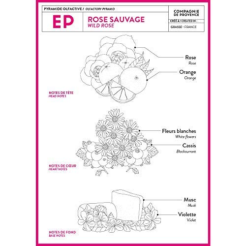 Compagnie de Provence Savon de Marseille Extra Pure Liquid Soap - Wild Rose - 10 Fl Oz Plastic Pump Bottle