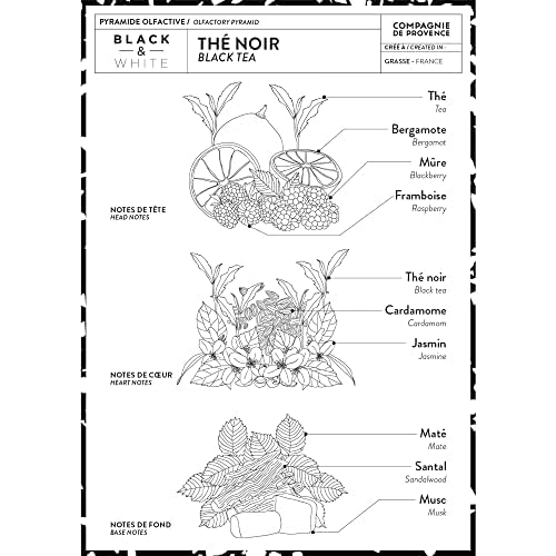 Compagnie de Provence Luxury Hand Cream - Black Tea - 10 Fl Oz Glass Pump Bottle