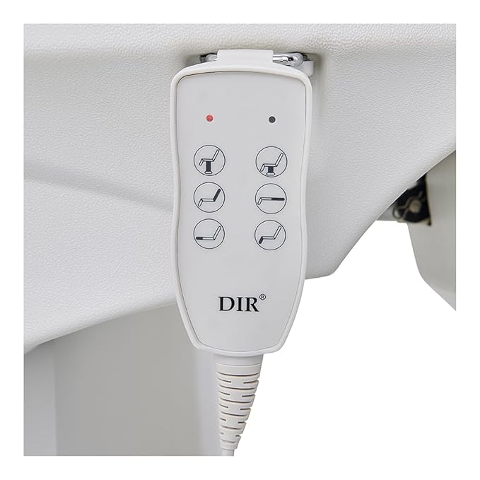 Dir Medical Examination Chair Facial Beauty Spa Bed and Chair with 3 Motors Ink